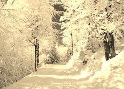 Sepia