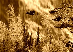 Sepia