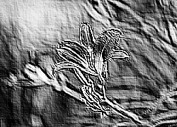 Skamielina