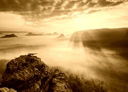 Sepia