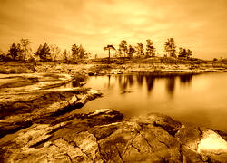 Sepia