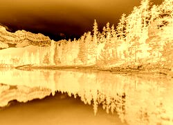 Sepia + Negatyw