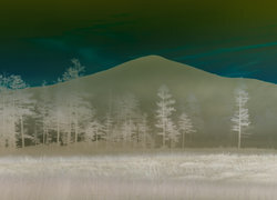 Negatyw