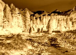 Sepia + Negatyw
