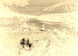 Sepia + Negatyw