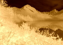 Sepia + Negatyw