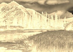 Sepia + Negatyw