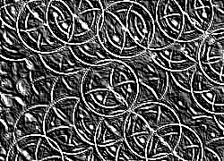Skamielina