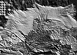 Skamielina