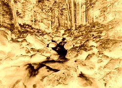 Sepia + Negatyw