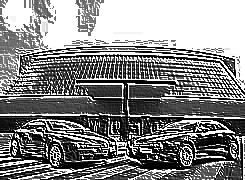 Skamielina