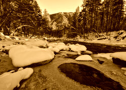 Sepia