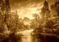 Sepia