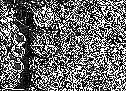 Skamielina