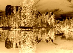 Sepia + Negatyw