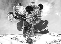 Szary + Sepia