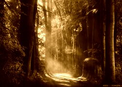Sepia