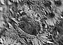 Skamielina