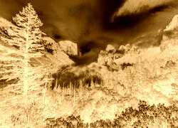 Sepia + Negatyw