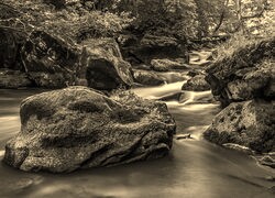 Sepia