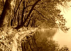 Sepia
