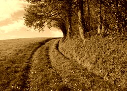 Sepia