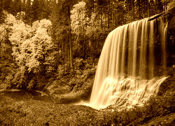 Sepia