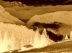 Sepia + Negatyw