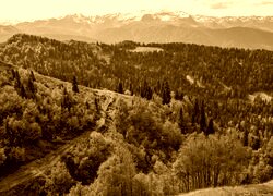 Sepia