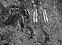 Skamielina