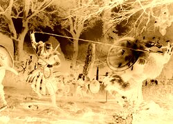 Sepia + Negatyw