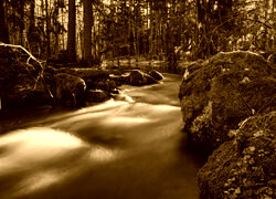 Sepia