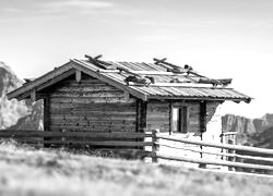 Szary + Sepia