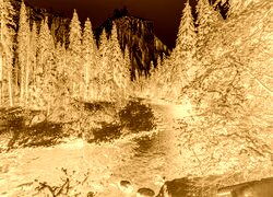 Sepia + Negatyw