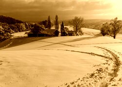 Sepia