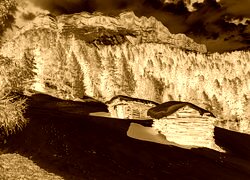 Sepia + Negatyw