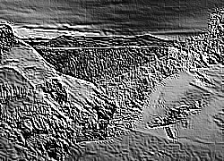 Skamielina