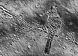 Skamielina