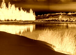 Sepia + Negatyw