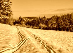 Sepia