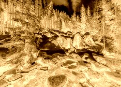 Sepia + Negatyw