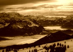 Sepia