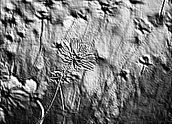Skamielina