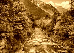Sepia