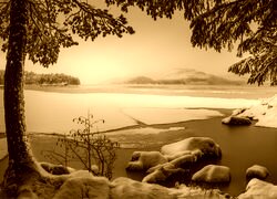 Sepia