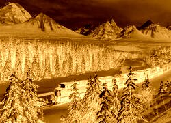 Sepia + Negatyw