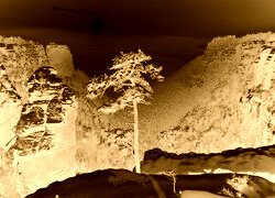 Sepia + Negatyw