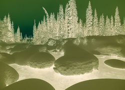Negatyw