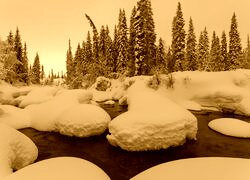 Sepia