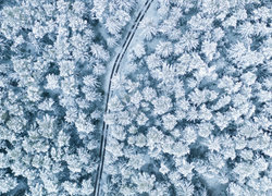 Oryginalny obrazek